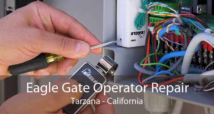 Eagle Gate Operator Repair Tarzana - California