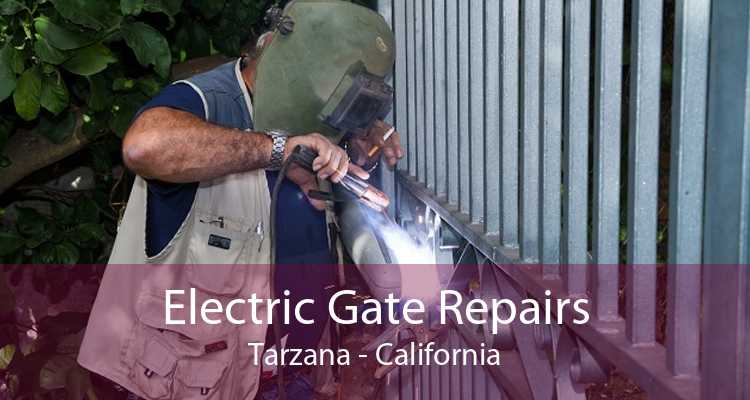 Electric Gate Repairs Tarzana - California