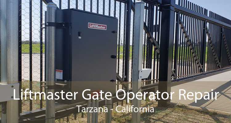 Liftmaster Gate Operator Repair Tarzana - California