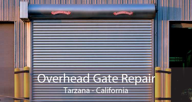 Overhead Gate Repair Tarzana - California