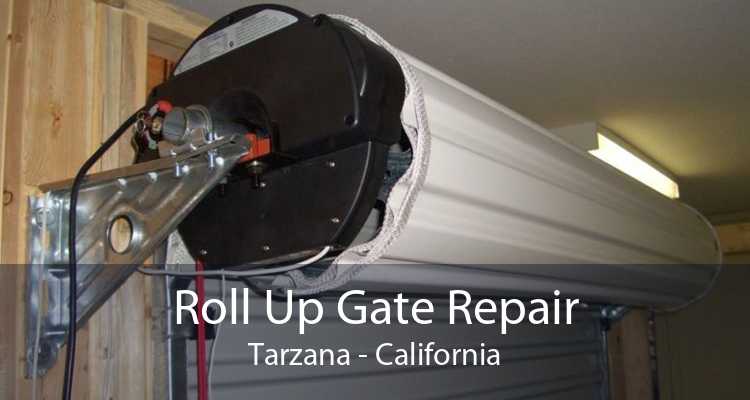 Roll Up Gate Repair Tarzana - California